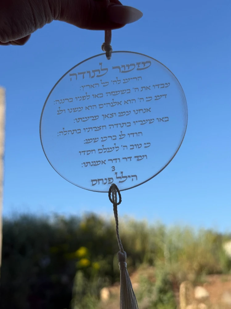 דוגמה למוצר 1